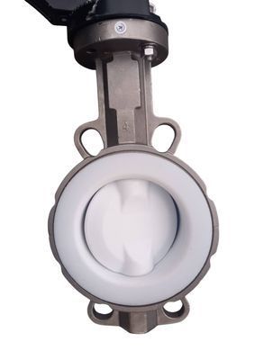 Засувка Батерфляй Ду 125 з нержавіючої сталі футерований PTFE bater-spec-5 фото